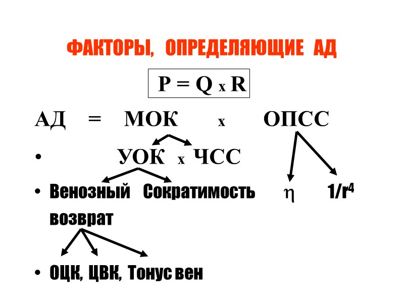 ФАКТОРЫ,   ОПРЕДЕЛЯЮЩИЕ   АД Р = Q x R АД 